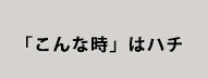 「こんな時」はハチ