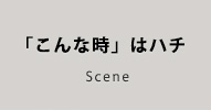 「こんな時」はハチ