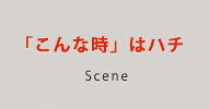 「こんな時」はハチ